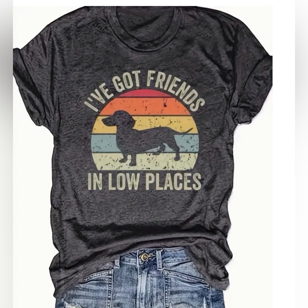Womens Fashion Dachshund Wiener Dog Friends In Low Places Gray T-Shirt 1XL